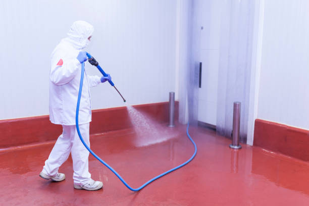 Best Pre-Holiday Cleaning  in Monument Hills, CA